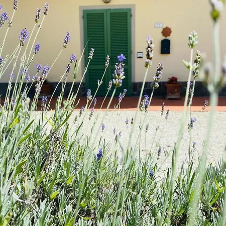 La Casina Di Nonno Enzo Guest house *